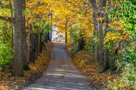 Falling for Fall : why students love the cool&nbsp;season