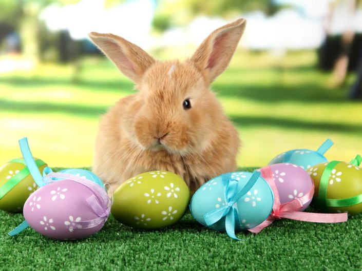 Easter Bunny should not be enforced by&nbsp;parents