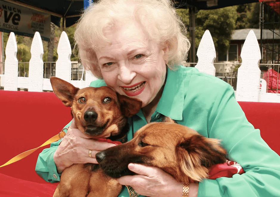 The Betty White challenge: one life lost acts as a catalyst for the saving of&nbsp;many