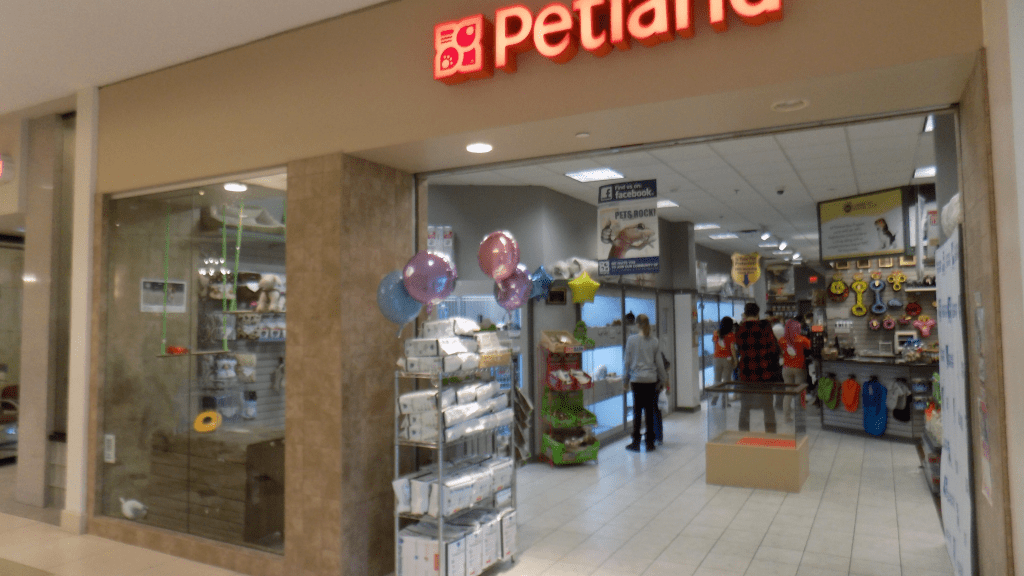 Sick and disease-ridden puppies: the frightening exposure of Petland&nbsp;Novi