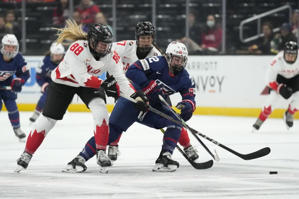 The Professional Women’s Hockey League: men are not the only ones with a hockey&nbsp;future