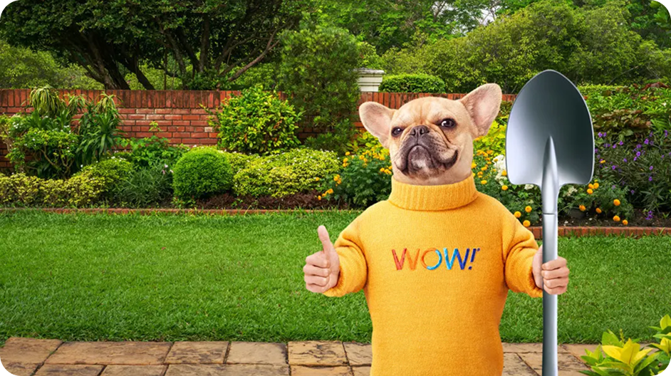 WOW internet: the power the internet has over your living&nbsp;space